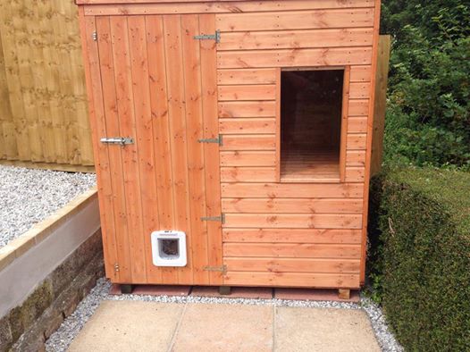 Shed Cat Flap Dave S Sheds